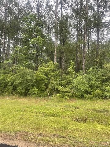 Land for Sale in Ragley, Louisiana