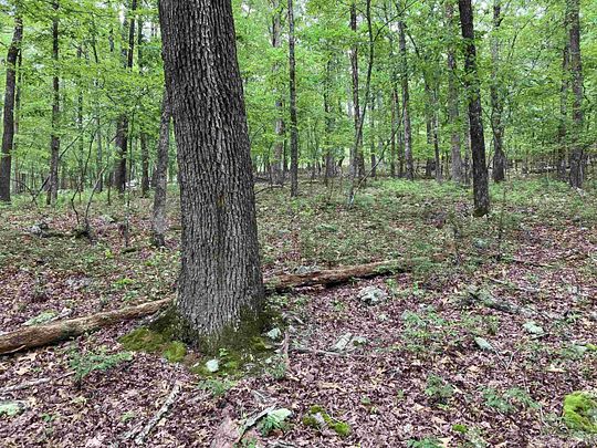 1 Acre of Residential Land for Sale in Hot Springs Village, Arkansas