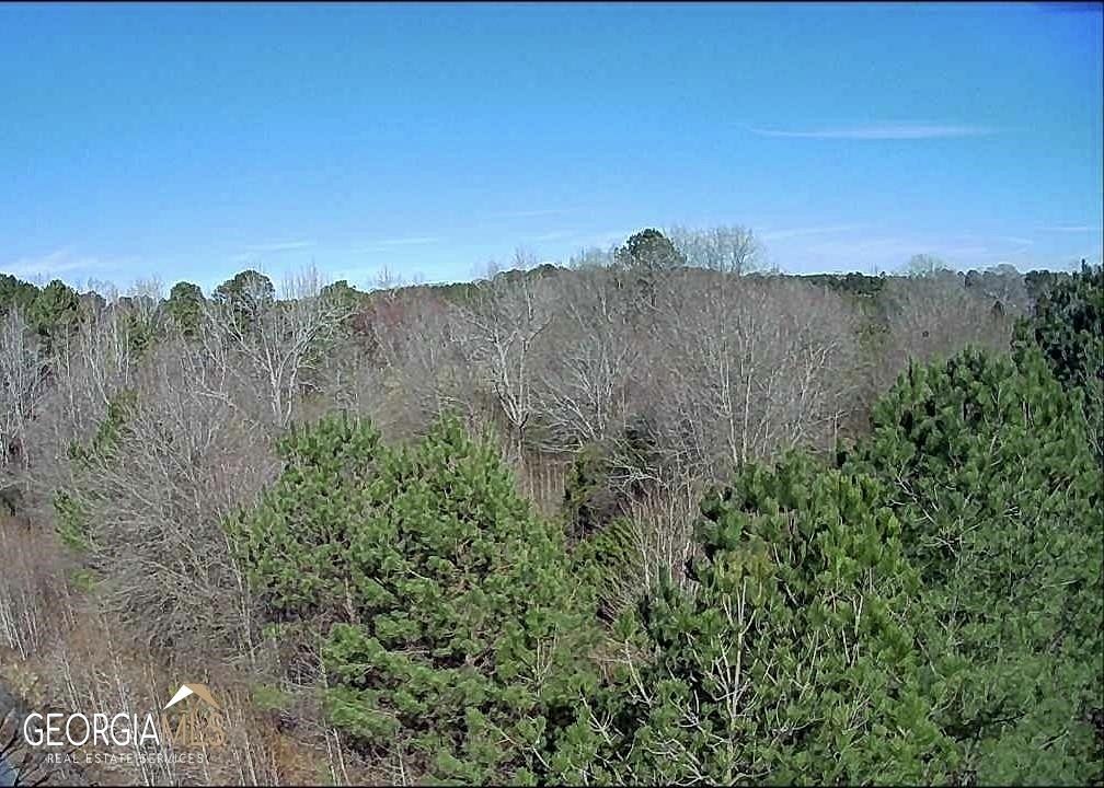 46 Acres of Land for Sale in Stockbridge, Georgia