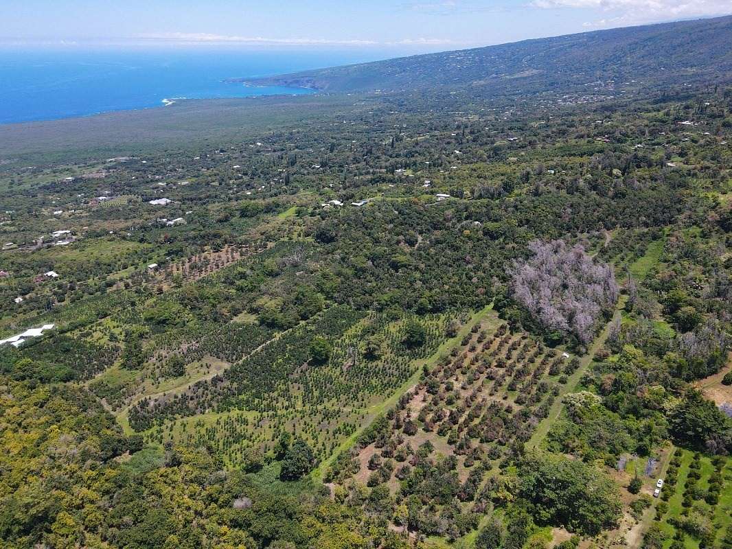 11.8 Acres of Agricultural Land for Sale in Captain Cook, Hawaii