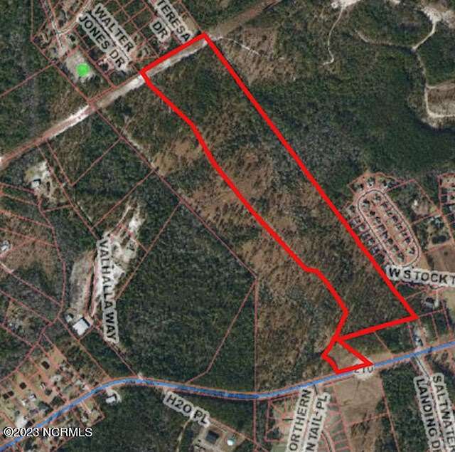 42.5 Acres of Recreational Land for Sale in Hampstead, North Carolina
