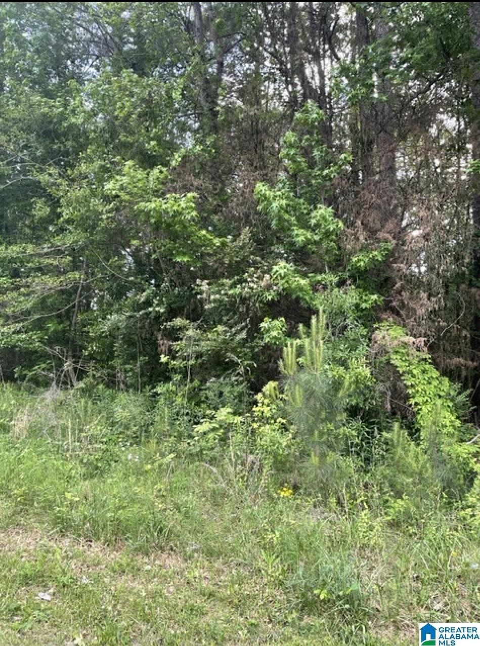 1 Acre of Residential Land for Sale in Anniston, Alabama
