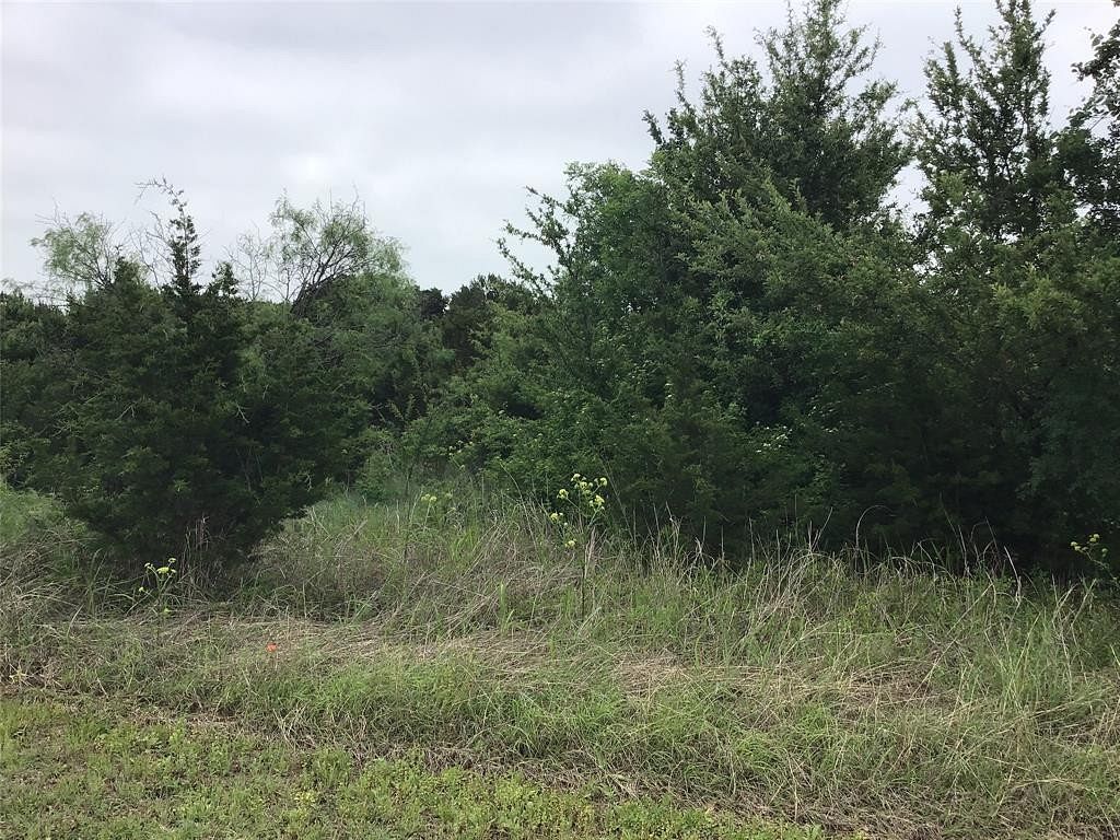 0.36 Acres of Residential Land for Sale in Whitney, Texas