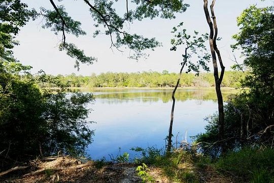83 Acres of Recreational Land for Sale in Amite, Louisiana