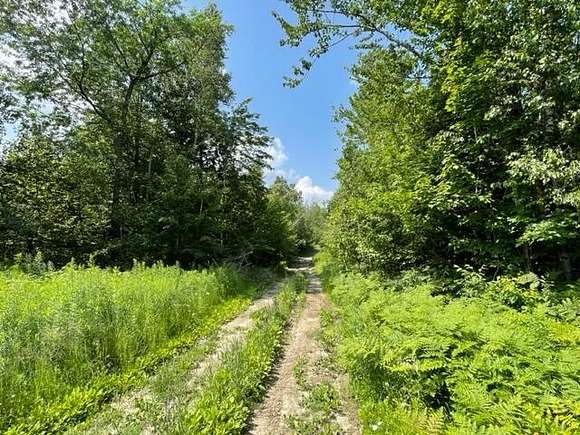160 Acres of Recreational Land for Sale in Starks, Maine