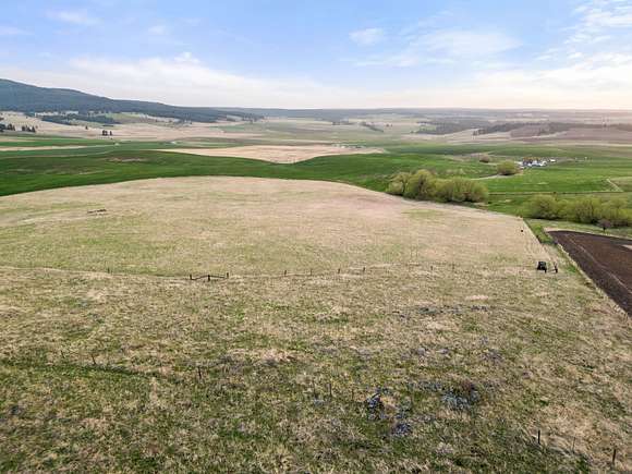 79.62 Acres of Land for Sale in Cottonwood, Idaho