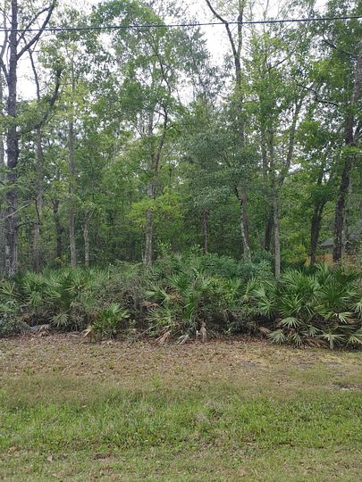 1 Acre of Residential Land for Sale in Woodbine, Georgia