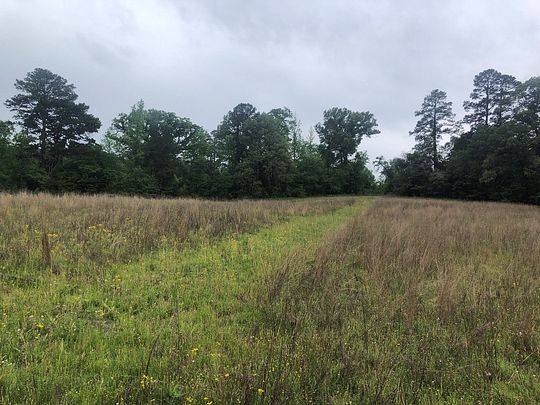 54.6 Acres of Land for Sale in Atlanta, Texas