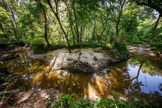 113 Acres of Recreational Land for Sale in Como, Texas