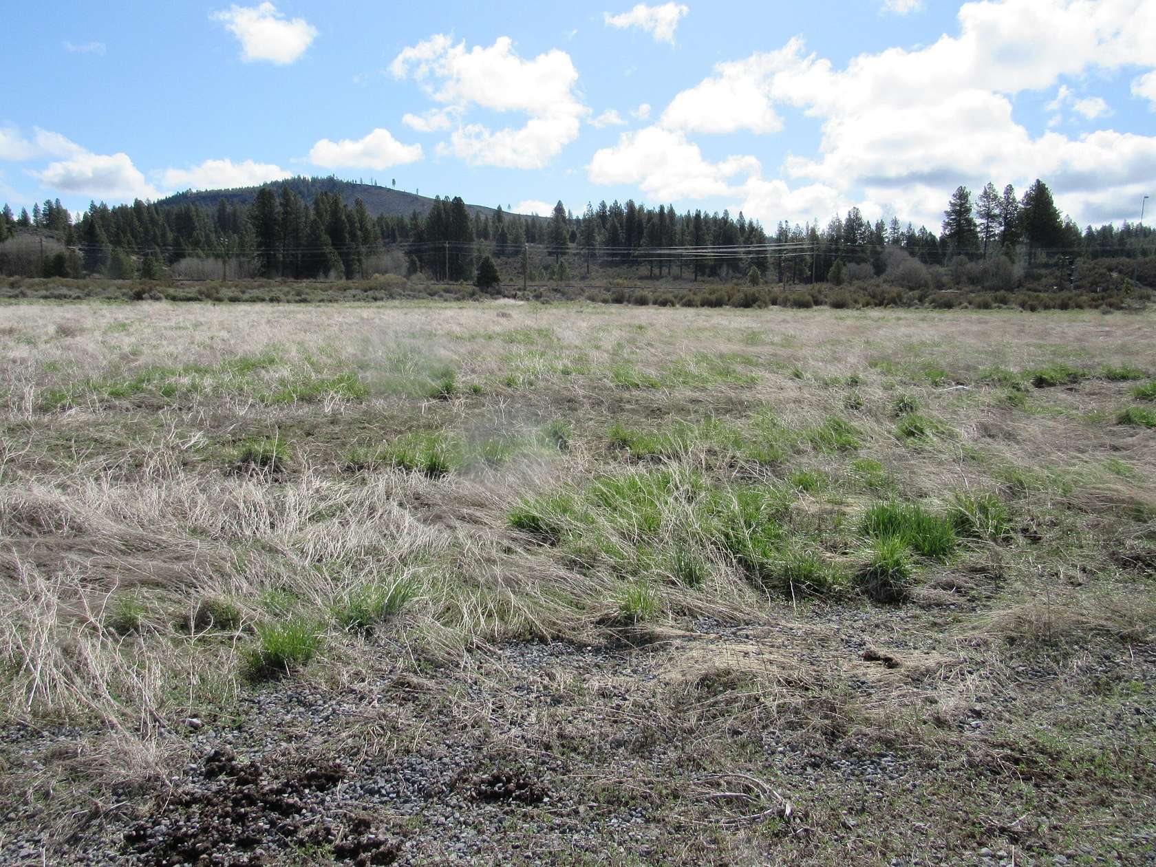 5 Acres of Land for Sale in Chiloquin, Oregon