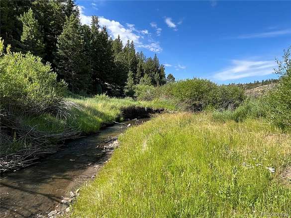 40 Acres of Recreational Land & Farm for Sale in Fort Garland, Colorado