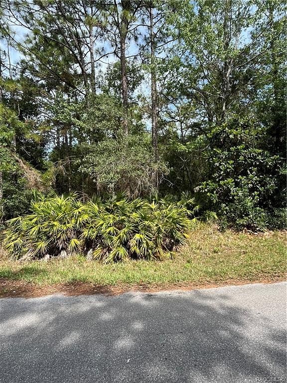0.07 Acres of Land for Sale in Homosassa, Florida