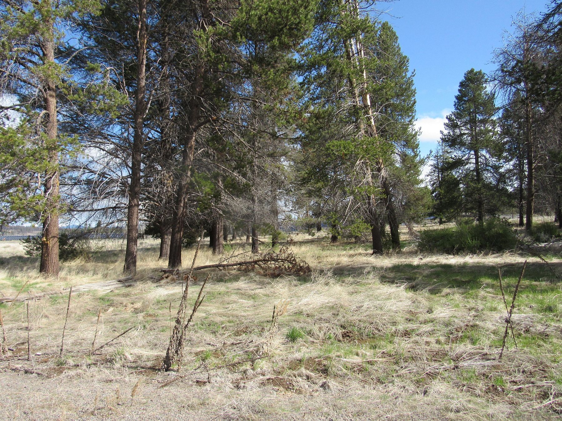 5 Acres of Residential Land for Sale in Chiloquin, Oregon