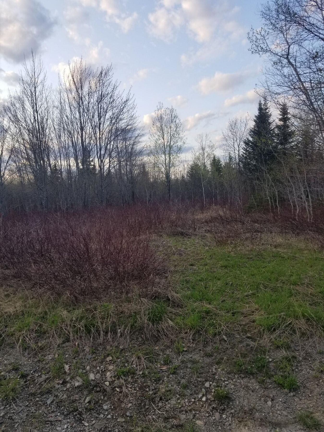 76.9 Acres of Land for Sale in Perham, Maine