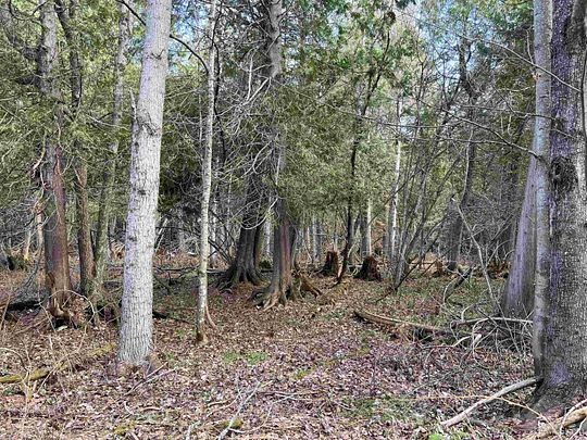 40 Acres of Recreational Land for Sale in L'Anse, Michigan
