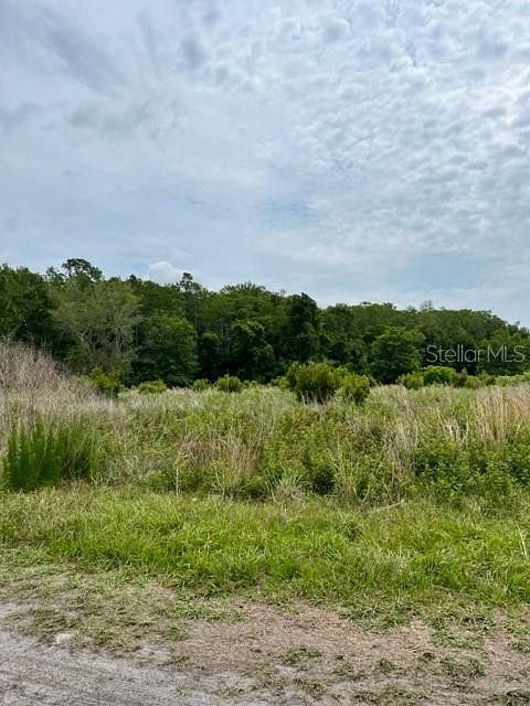 10 Acres of Land for Sale in Hawthorne, Florida