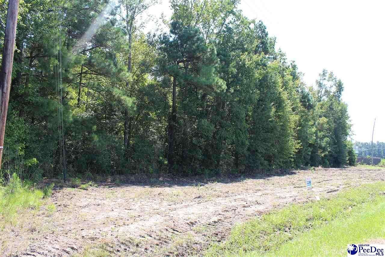 1 Acre of Land for Sale in Marion, South Carolina