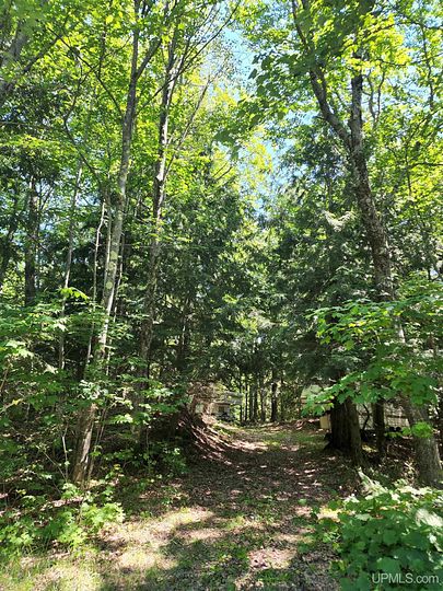 0.28 Acres of Residential Land for Sale in Toivola, Michigan
