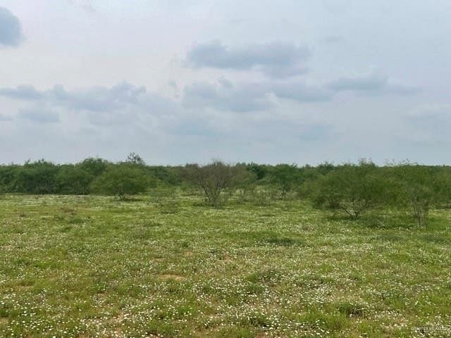 42.9 Acres of Land for Sale in Santa Elena, Texas