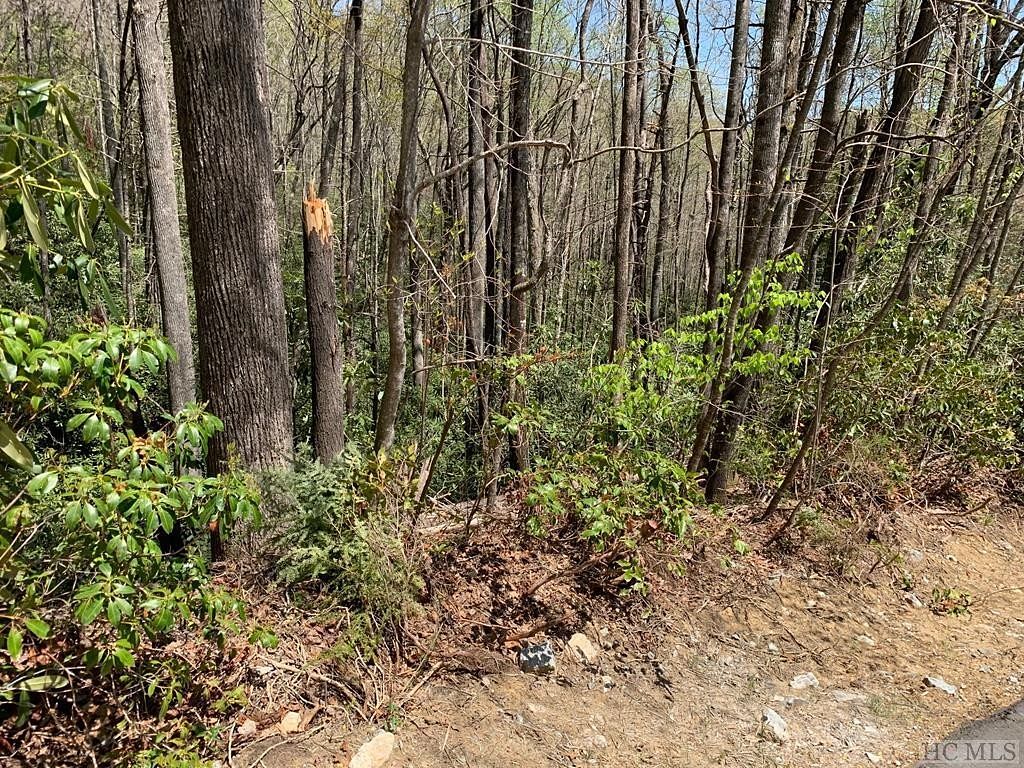 0.47 Acres of Land for Sale in Sapphire, North Carolina