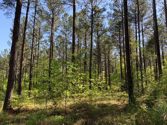 71.31 Acres of Recreational Land for Sale in Greenwood, South Carolina