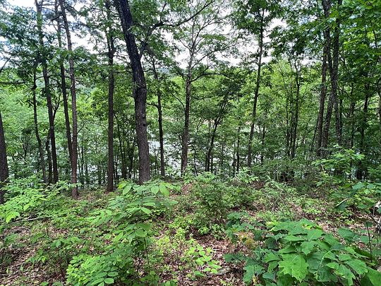 0.33 Acres of Land for Sale in Fairfield Bay, Arkansas