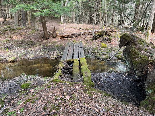260 Acres of Recreational Land for Sale in Natural Bridge, New York