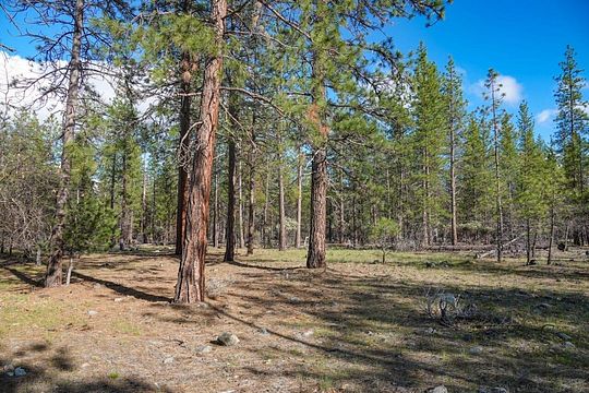 10.1 Acres of Recreational Land for Sale in Greenview, California