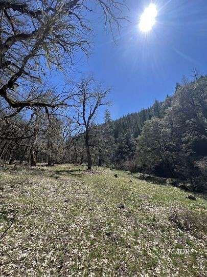95 Acres of Recreational Land for Sale in Douglas City, California