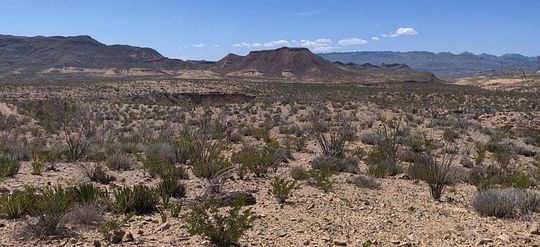 320 Acres of Land for Sale in Terlingua, Texas