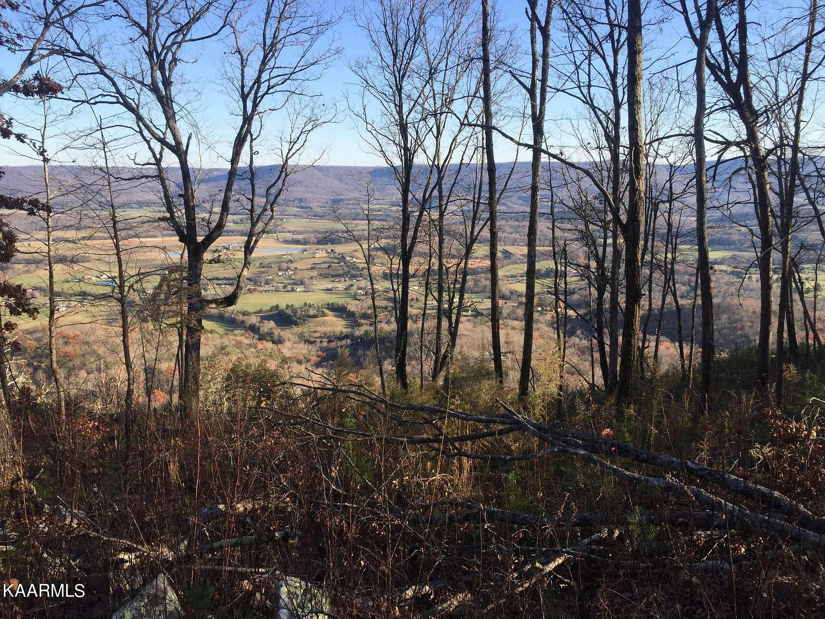40 Acres of Land for Sale in Pikeville, Tennessee