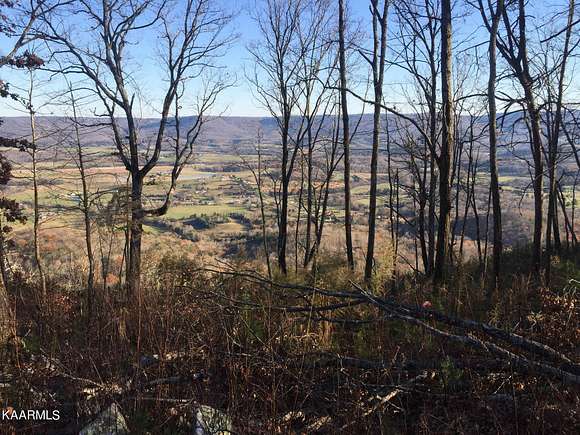40 Acres of Land for Sale in Pikeville, Tennessee