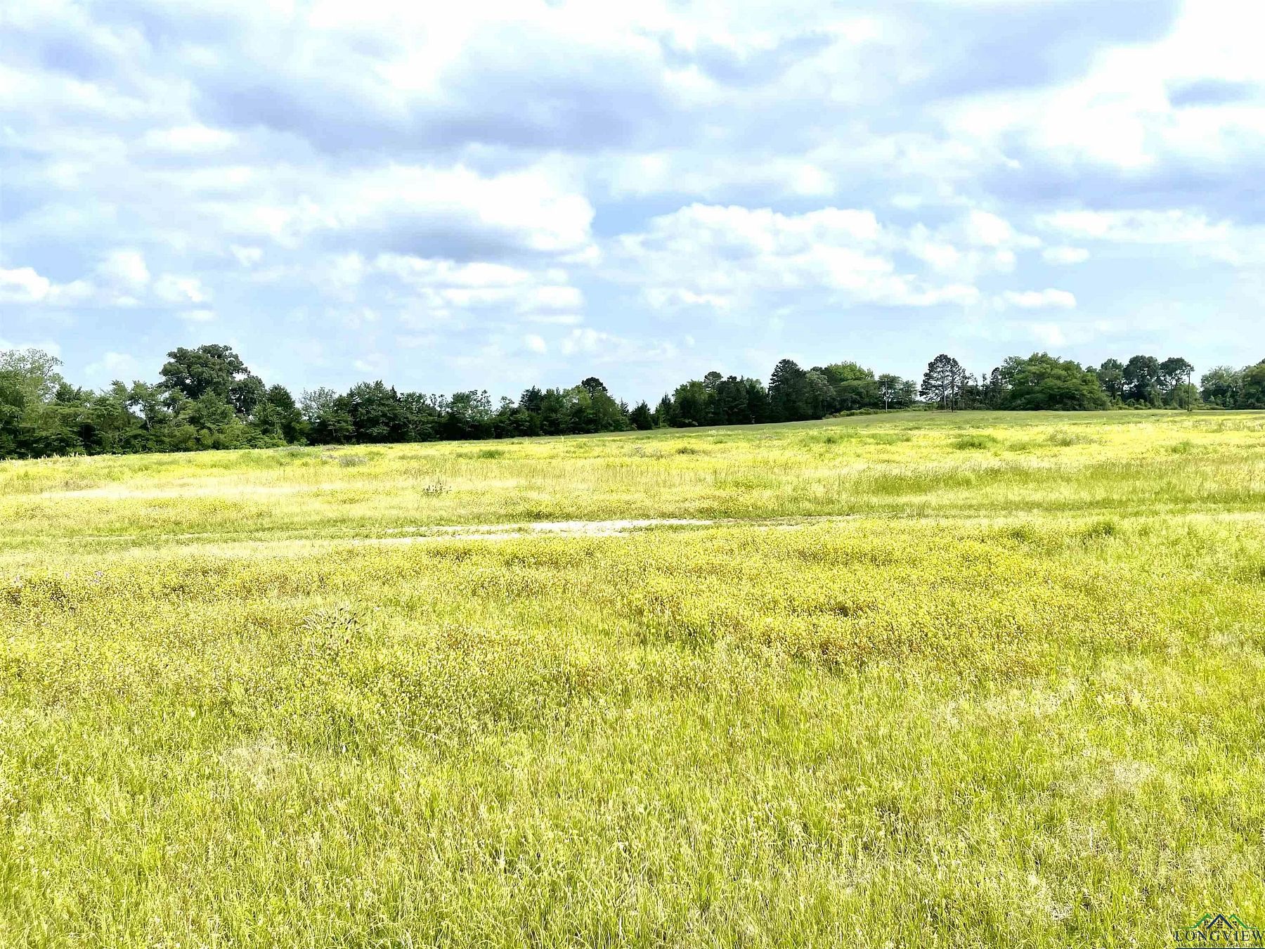 30 Acres of Agricultural Land for Sale in Beckville, Texas