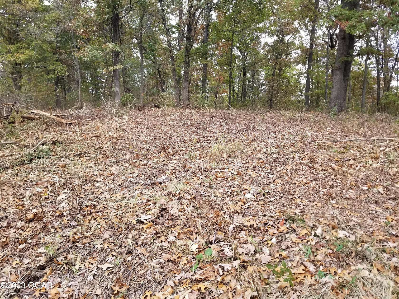 29.1 Acres of Land for Sale in Anderson, Missouri