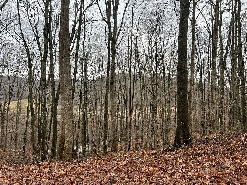 0.5 Acres of Improved Residential Land for Sale in Gap Mills, West Virginia