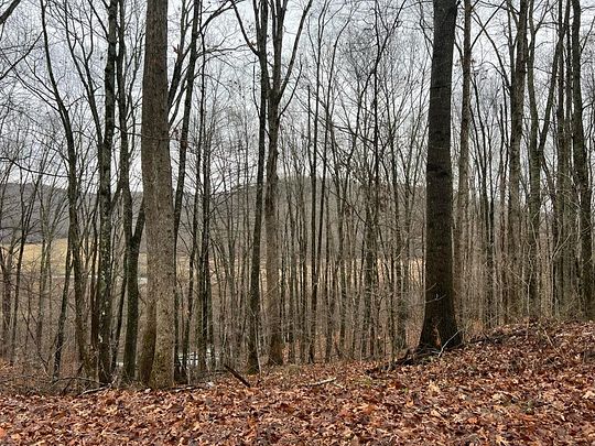 0.5 Acres of Improved Residential Land for Sale in Gap Mills, West Virginia