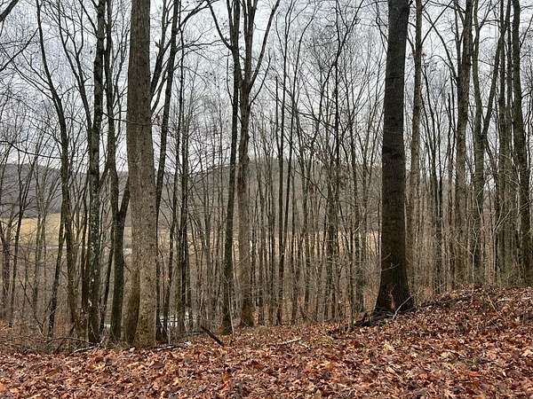 0.5 Acres of Residential Land for Sale in Gap Mills, West Virginia