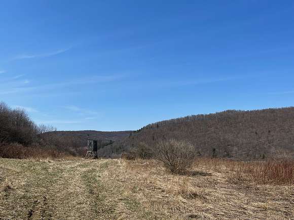 30 Acres of Recreational Land for Sale in Allegany, New York