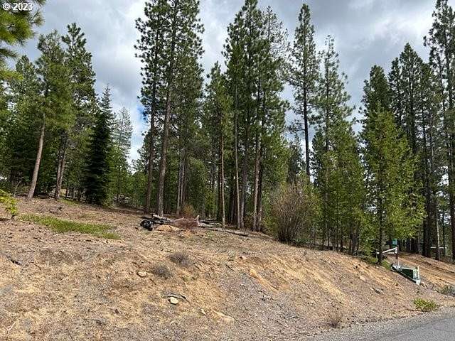 0.99 Acres of Residential Land for Sale in Crescent Lake, Oregon