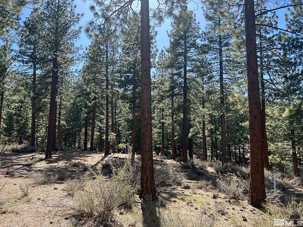 0.99 Acres of Residential Land for Sale in Carson City, Nevada