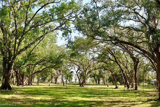 10.2 Acres of Land for Sale in Alva, Florida