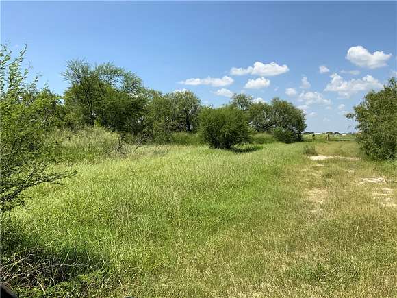 21 Acres of Recreational Land for Sale in Sinton, Texas