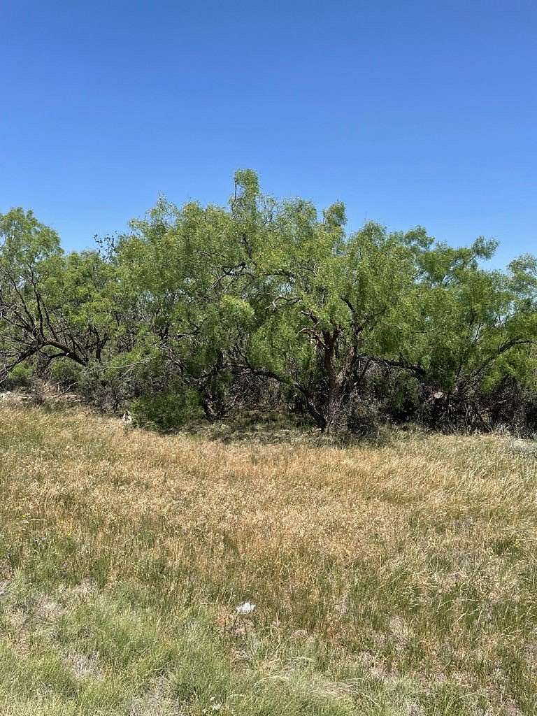 117 Acres of Land for Sale in San Angelo, Texas