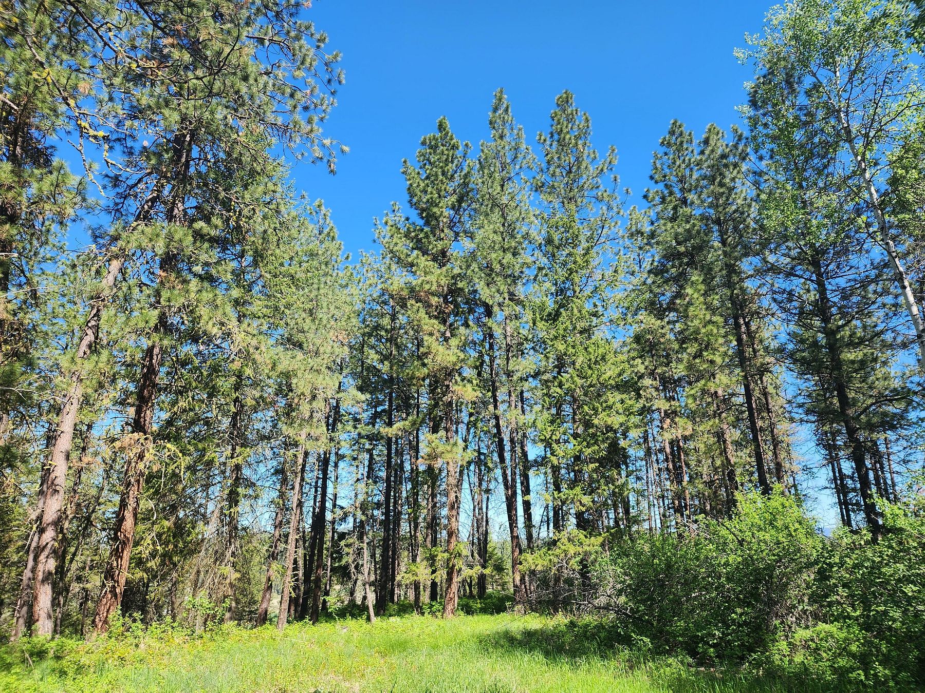 5.1 Acres of Land for Sale in Colville, Washington