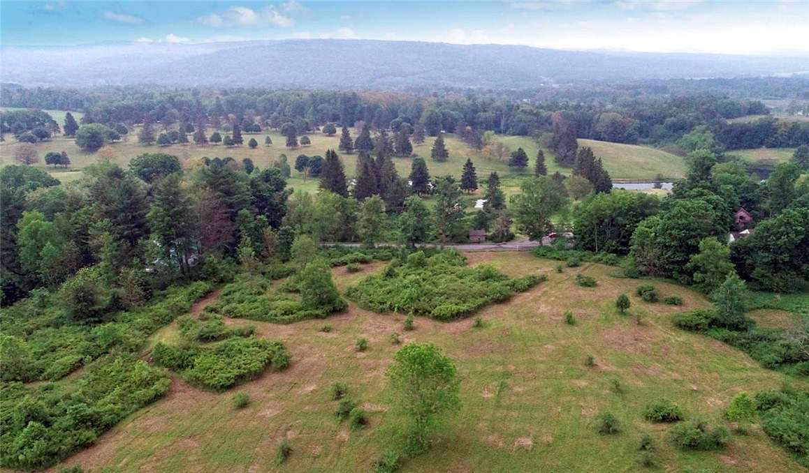 75.9 Acres of Agricultural Land for Sale in Afton, New York