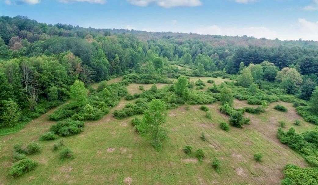 75.87 Acres of Land for Sale in Afton, New York