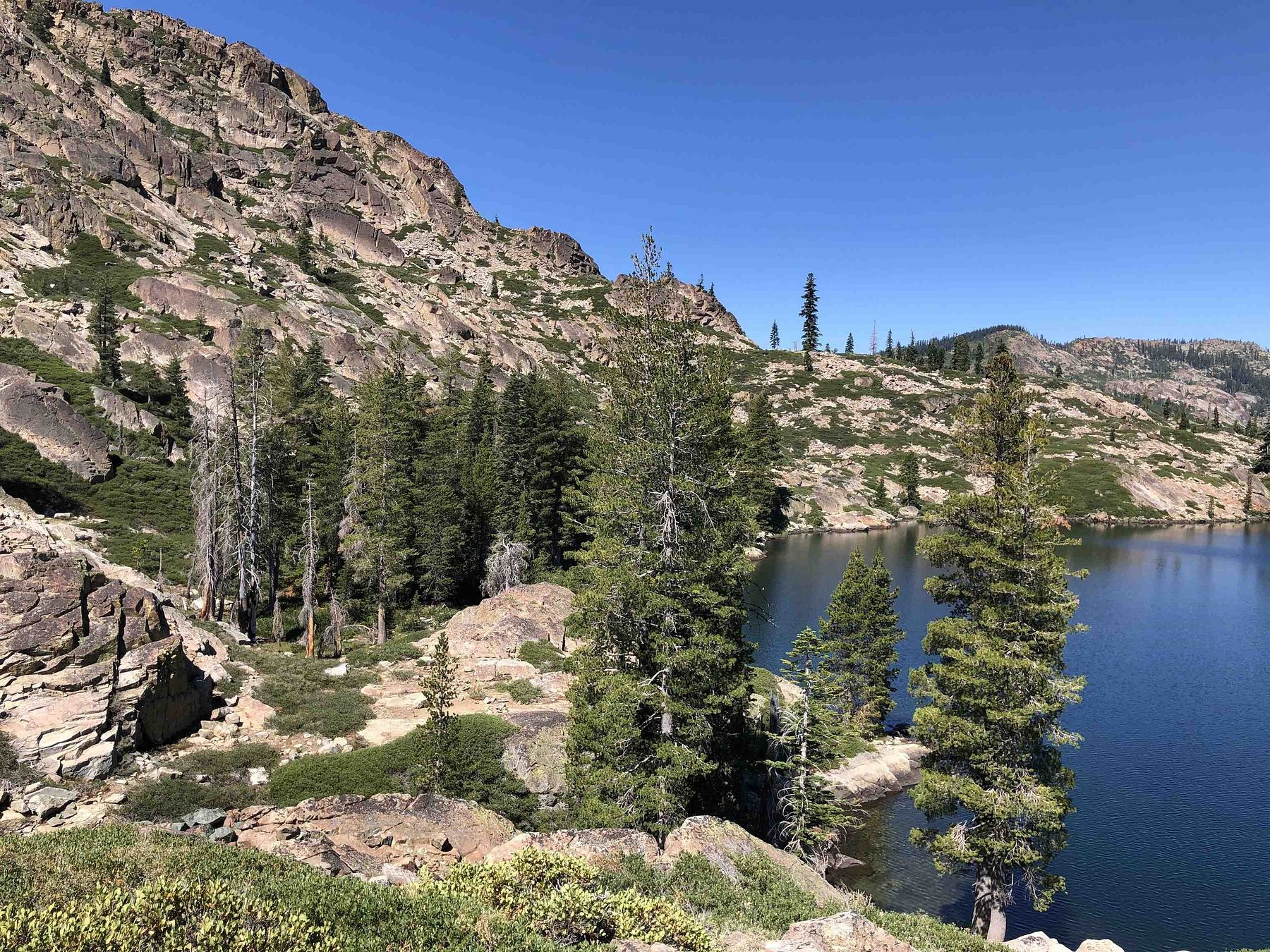 80 Acres of Land for Sale in Sierra City, California LandSearch