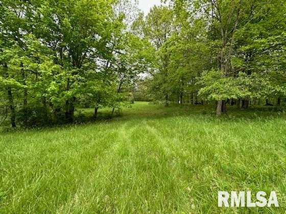 1.3 Acres of Residential Land for Sale in Danvers, Illinois
