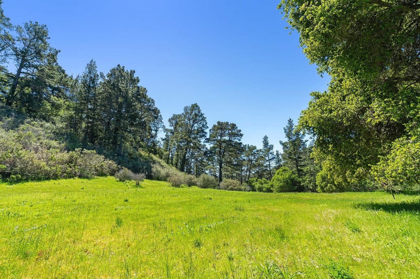 6.8 Acres of Residential Land for Sale in Carmel-by-the-Sea, California