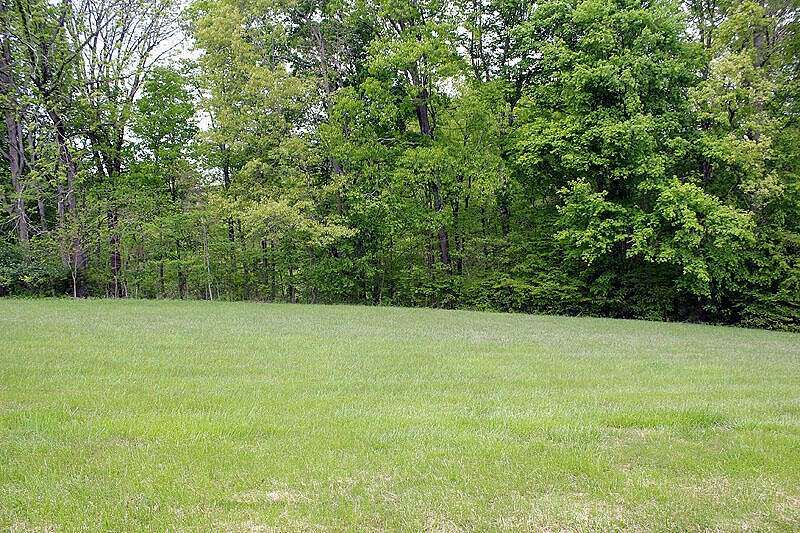 1.1 Acres of Land for Sale in Nancy, Kentucky